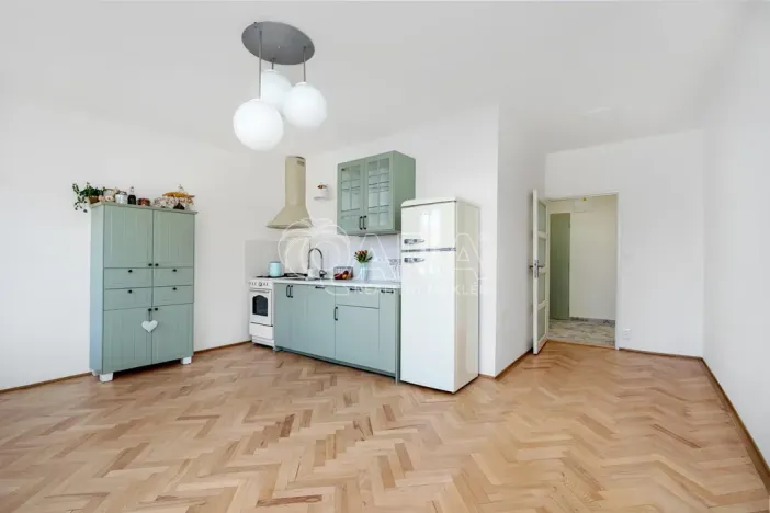 Prodej bytu 1+1, Praha - Vinohrady, Šumavská, 60 m2
