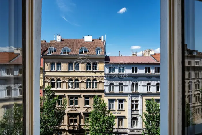 Prodej bytu 1+1, Praha - Vinohrady, Šumavská, 60 m2