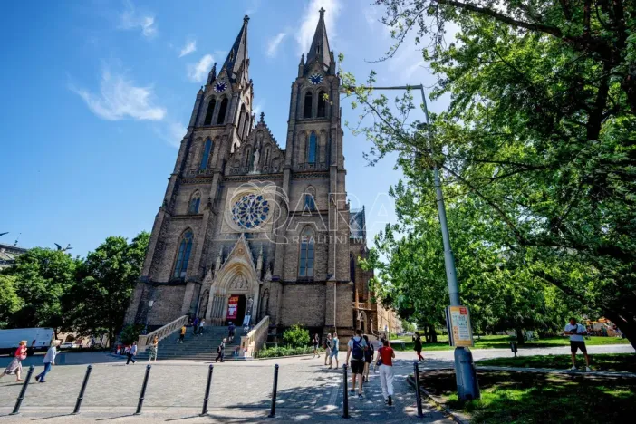 Prodej bytu 1+1, Praha - Vinohrady, Šumavská, 60 m2