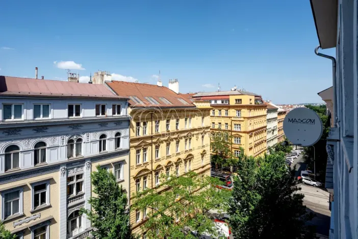 Prodej bytu 1+1, Praha - Vinohrady, Šumavská, 60 m2