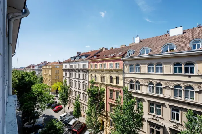 Prodej bytu 1+1, Praha - Vinohrady, Šumavská, 60 m2