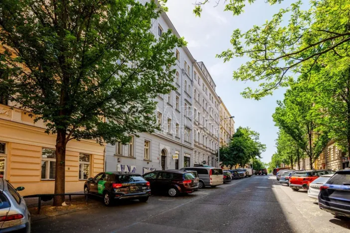 Prodej bytu 1+1, Praha - Vinohrady, Šumavská, 60 m2