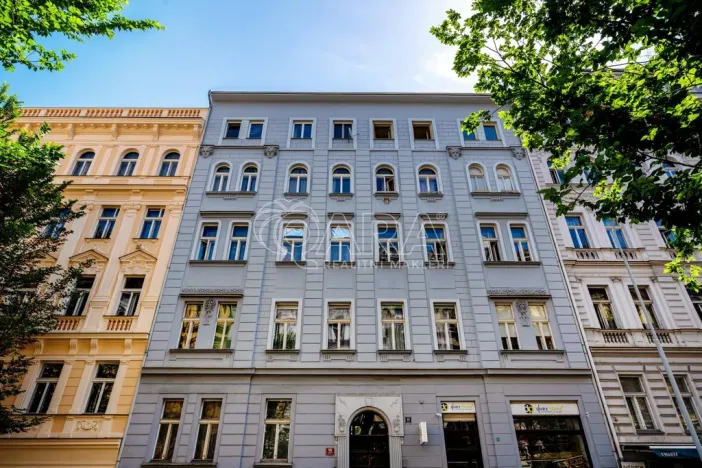 Prodej bytu 1+1, Praha - Vinohrady, Šumavská, 60 m2