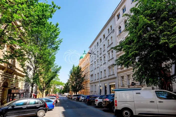 Prodej bytu 1+1, Praha - Vinohrady, Šumavská, 60 m2