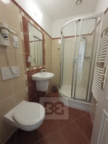 Pronájem bytu 1+kk, Praha - Vinohrady, Balbínova, 14 m2