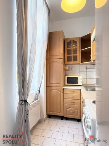 Pronájem bytu 1+kk, Plzeň - Východní Předměstí, Lobezská, 40 m2