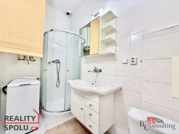 Pronájem bytu 1+kk, Plzeň - Východní Předměstí, Lobezská, 40 m2
