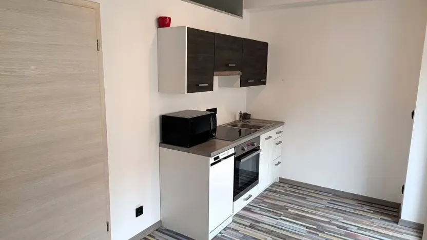 Pronájem bytu 1+kk, České Budějovice - České Budějovice 3, Riegrova, 46 m2