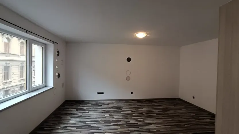 Pronájem bytu 1+kk, České Budějovice - České Budějovice 3, Riegrova, 46 m2
