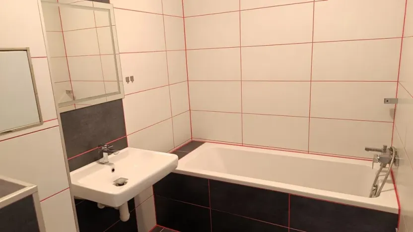 Pronájem bytu 1+kk, České Budějovice - České Budějovice 3, Riegrova, 46 m2