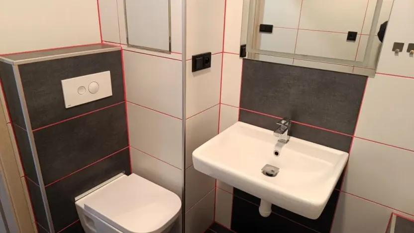 Pronájem bytu 1+kk, České Budějovice - České Budějovice 3, Riegrova, 46 m2