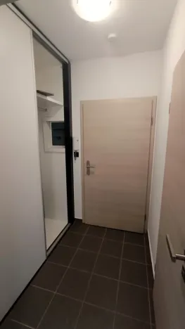 Pronájem bytu 1+kk, České Budějovice - České Budějovice 3, Riegrova, 46 m2
