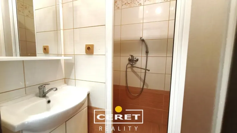 Prodej bytu 2+1, Žatec, Podměstí, 55 m2