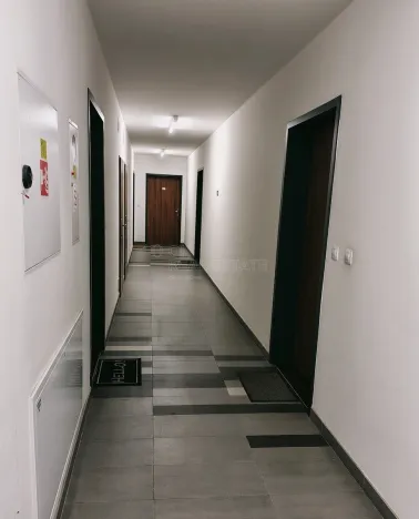 Pronájem bytu 1+kk, Plzeň, Kollárova, 56 m2