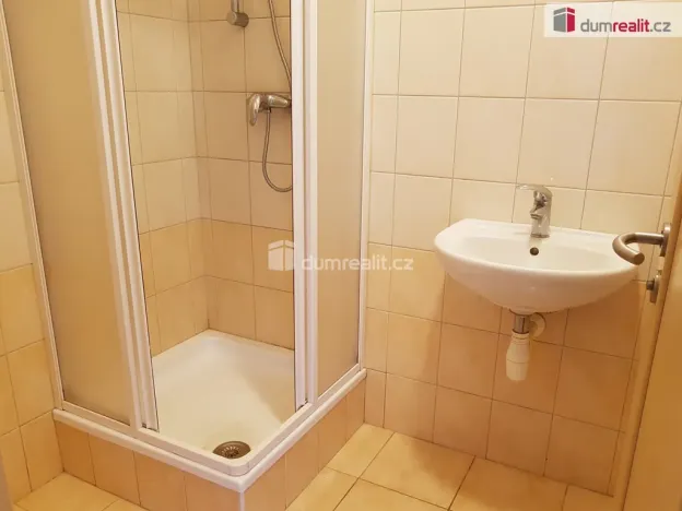 Pronájem bytu 1+1, České Budějovice - České Budějovice 3, B. Smetany, 44 m2