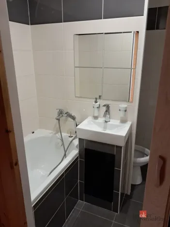 Pronájem bytu 2+1, Bílovec, Radotínská, 46 m2