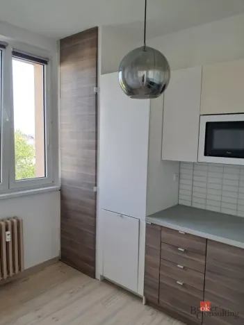Pronájem bytu 2+1, Bílovec, Radotínská, 46 m2