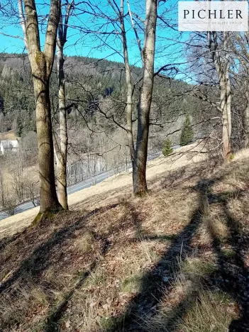 Prodej rodinného domu, Jáchymov, tř. Čs. armády, 203 m2
