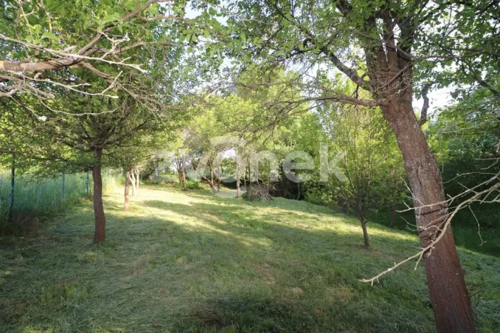 Prodej chalupy, Štítná nad Vláří-Popov - Štítná nad Vláří, 81 m2