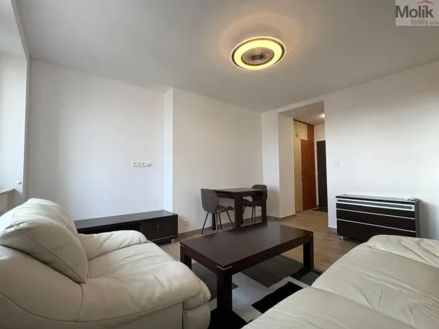 Pronájem bytu 2+kk, Chomutov, Na Příkopech, 39 m2