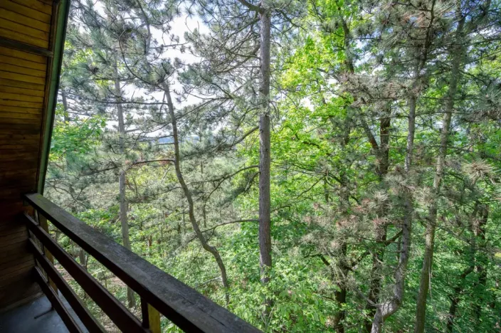 Prodej chaty, Dobřichovice, 33 m2