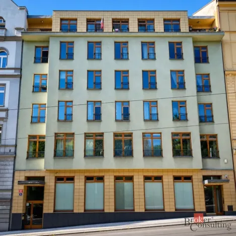 Pronájem bytu 1+kk, Praha - Vinohrady, Francouzská, 28 m2