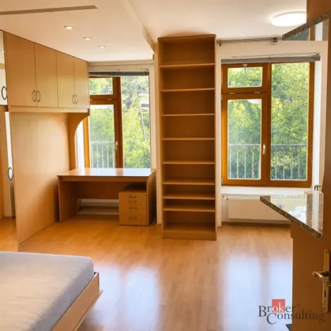 Pronájem bytu 1+kk, Praha - Vinohrady, Francouzská, 28 m2