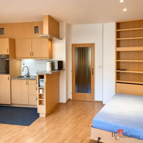 Pronájem bytu 1+kk, Praha - Vinohrady, Francouzská, 28 m2