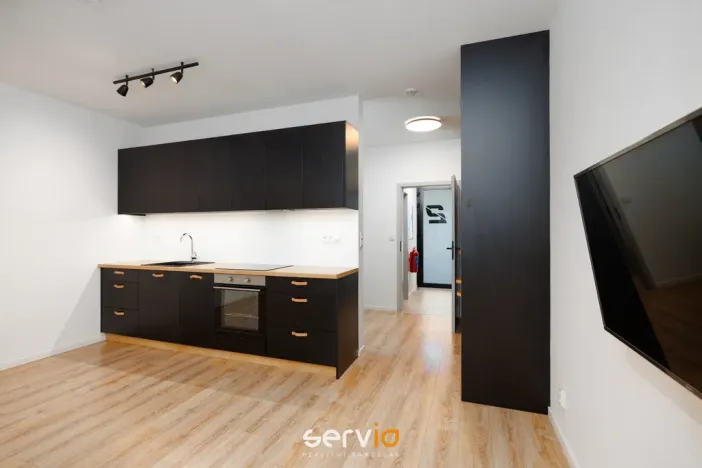 Pronájem bytu 1+kk, Brno, Úlehlova, 35 m2