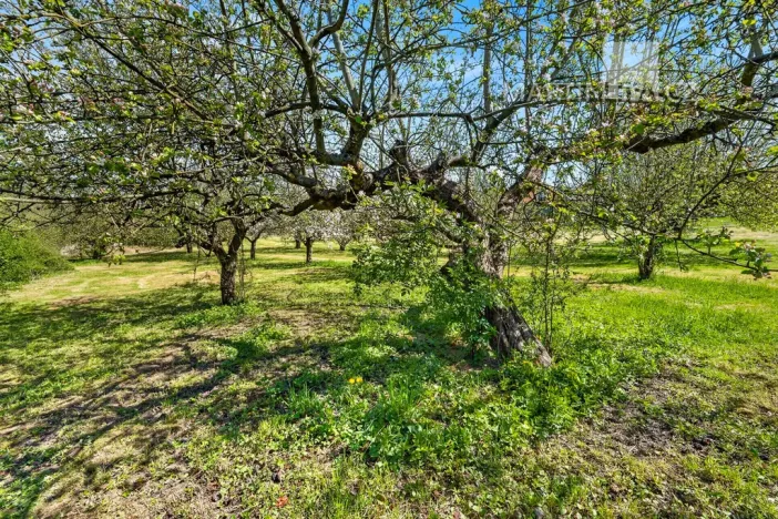 Prodej pozemku pro bydlení, Kamenný Přívoz - Hostěradice, 880 m2