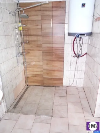 Prodej rodinného domu, Velké Albrechtice, 350 m2