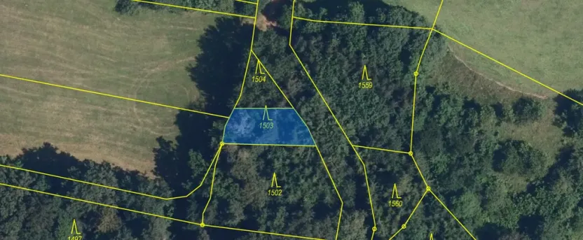 Prodej lesa, Svébohov, 239 m2
