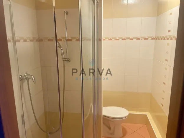 Pronájem bytu 1+kk, Plzeň - Doubravka, Lesní, 20 m2