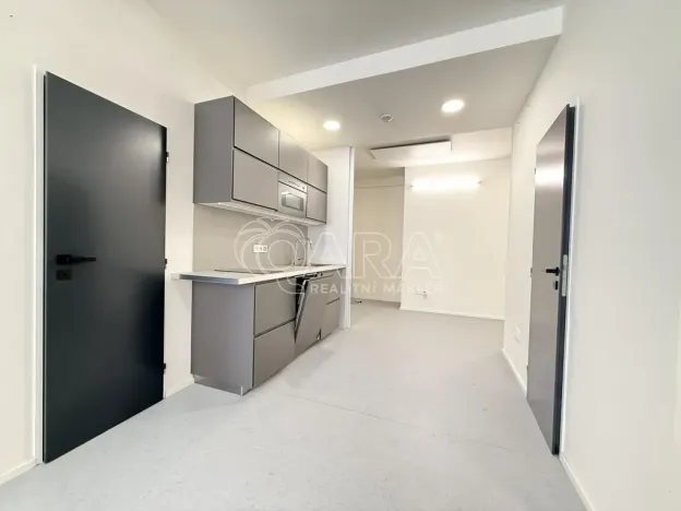 Pronájem bytu 1+kk, Praha - Nové Město, Dittrichova, 55 m2