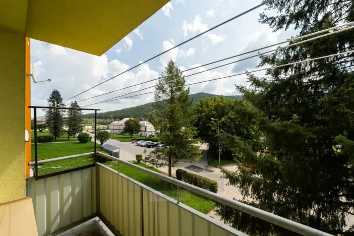 Prodej bytu 2+1, Loučovice, 62 m2