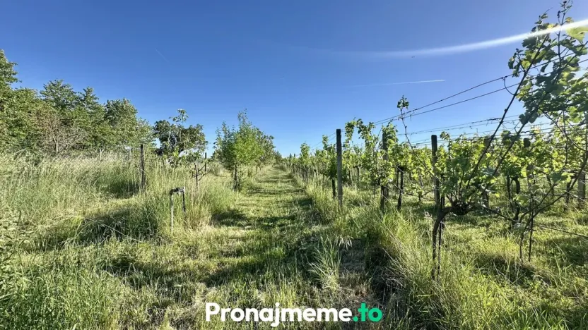 Pronájem - jiné, Šatov, 1759 m2