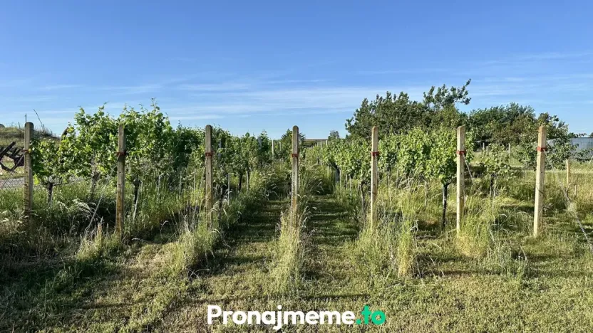 Pronájem - jiné, Šatov, 1759 m2