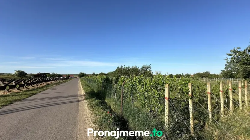 Pronájem - jiné, Šatov, 1759 m2