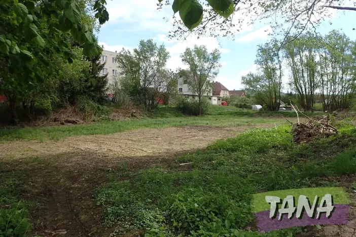 Prodej pozemku pro bydlení, Mladějov, 2297 m2