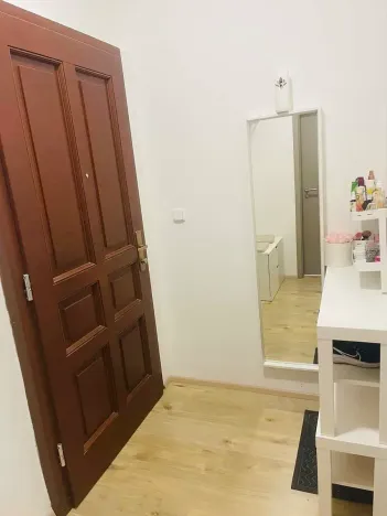 Pronájem bytu 1+1, Praha, 50 m2