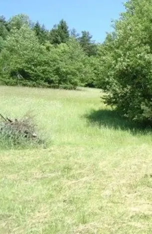 Prodej louky, Vojnův Městec, 9000 m2