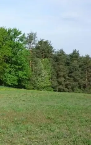 Prodej louky, Vojnův Městec, 9000 m2