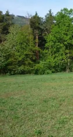 Prodej louky, Vojnův Městec, 9000 m2