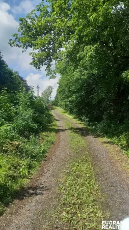 Prodej pozemku pro bydlení, Staré Křečany - Nové Křečany, 1800 m2