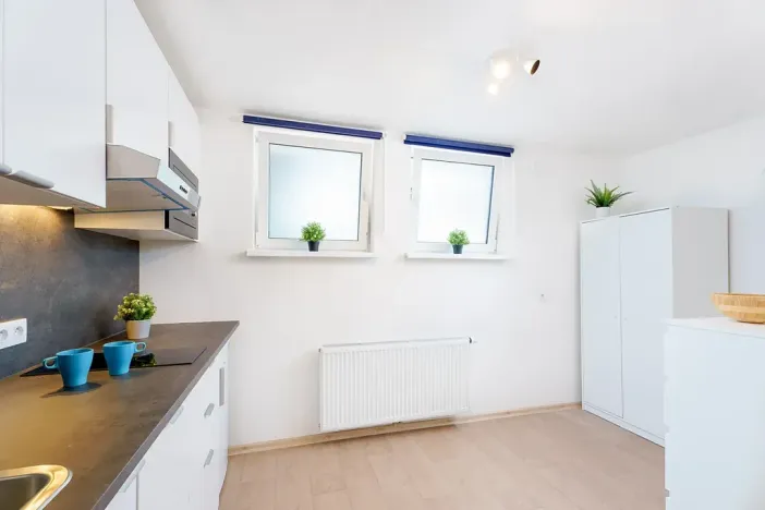 Prodej bytu 1+kk, Praha - Krč, Čerčanská, 20 m2