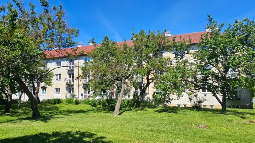 Dražba bytu 2+1, Brno, Purkyňova, 48 m2