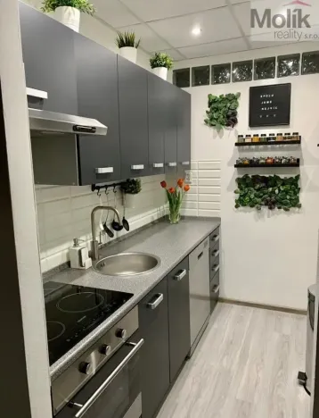Prodej bytu 3+1, Litvínov - Horní Litvínov, B. Němcové, 63 m2