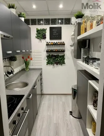 Prodej bytu 3+1, Litvínov - Horní Litvínov, B. Němcové, 63 m2