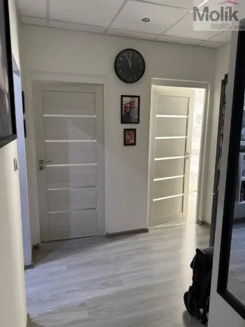 Prodej bytu 3+1, Litvínov - Horní Litvínov, B. Němcové, 63 m2