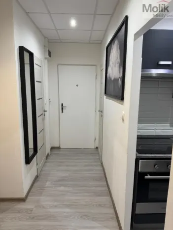 Prodej bytu 3+1, Litvínov - Horní Litvínov, B. Němcové, 63 m2